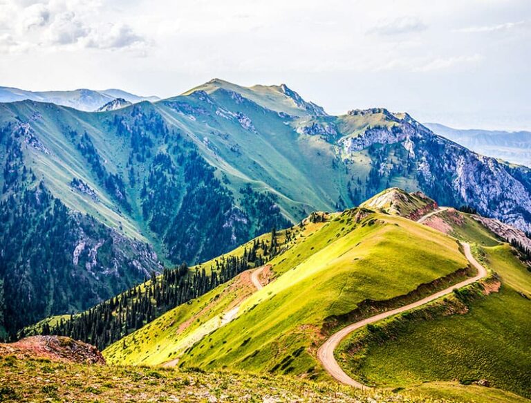 Teach Sustainable Development Goal 15 Life on Land Blog