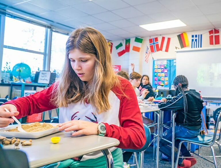 How to Design a School Improvement Plan with Global Competitiveness in ...