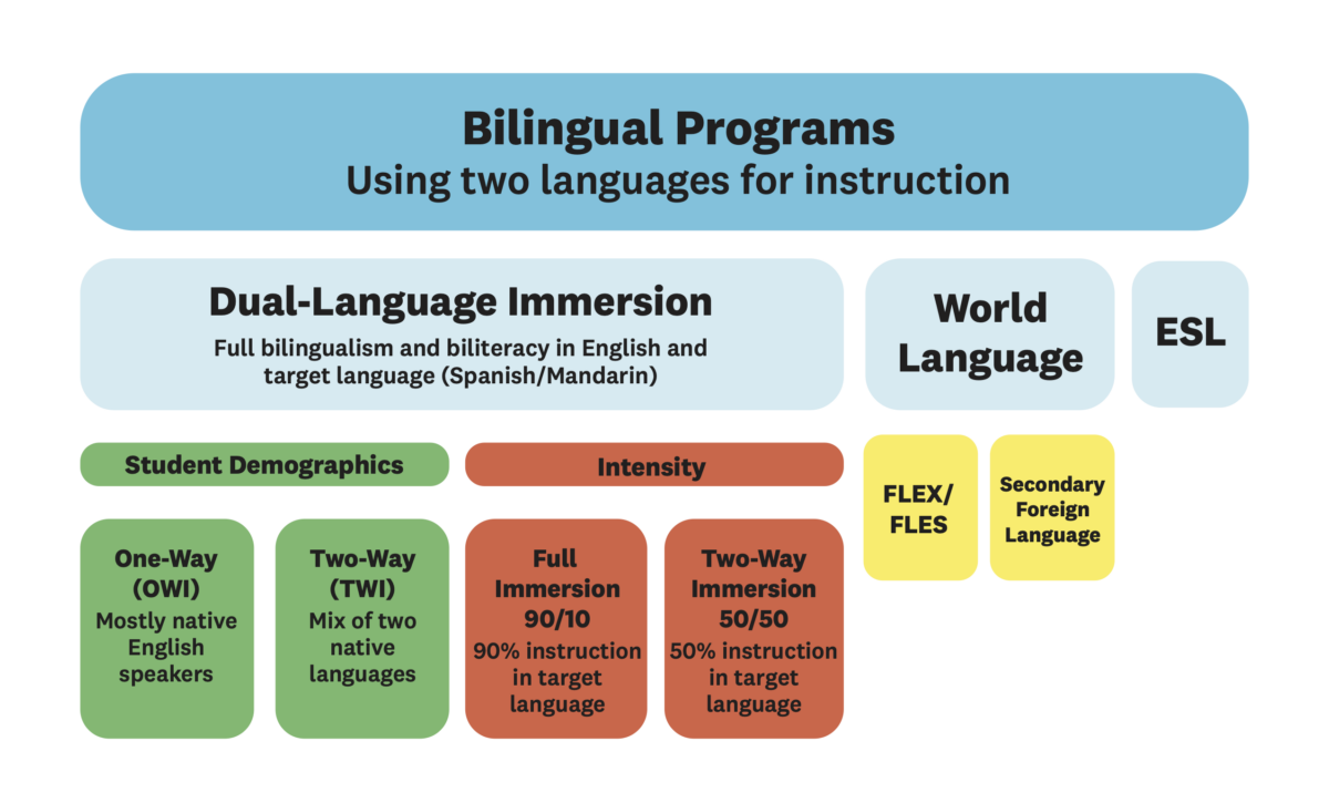 What is Dual Language Education? Complete 2025 Guide - Participate Learning