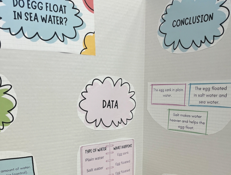 A student science fair trifold poster board titled "Do Eggs Float in Sea Water?"