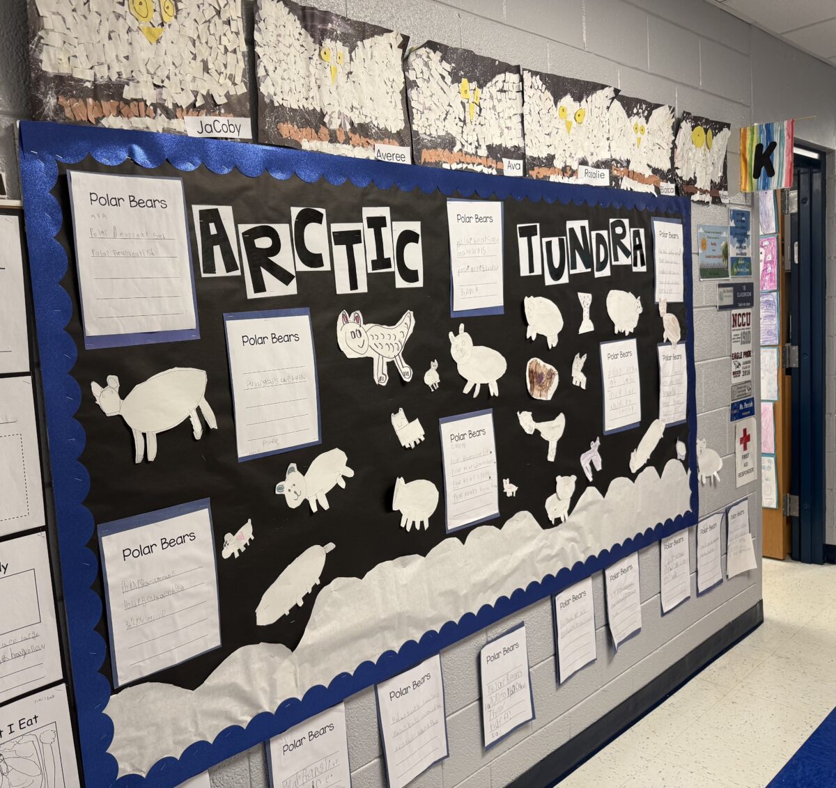 Classroom bulletin board labeled “Arctic Tundra” with student work on polar bears and animals, showing global learning and curriculum integration.